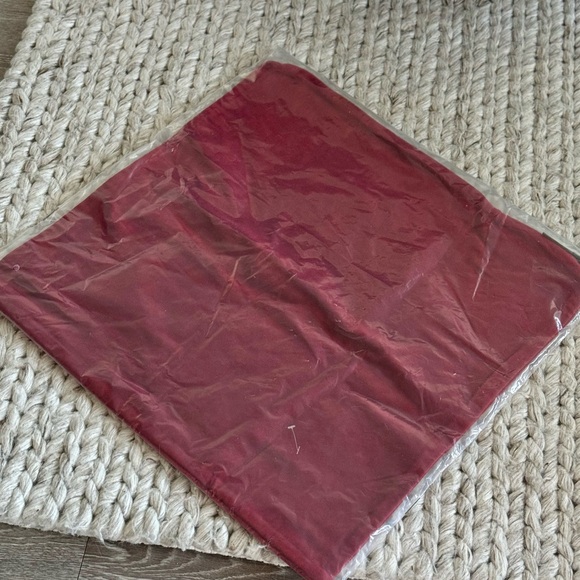 Pottery Barn Everywhere Velvet Pillow With Down Alternative Insert - Picture 3 of 4